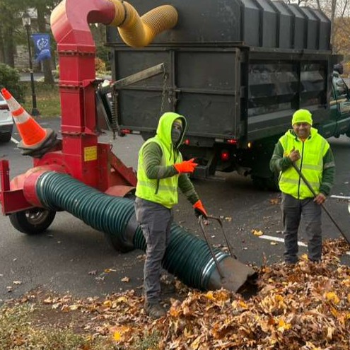 Fall Cleanup Leaf Removal