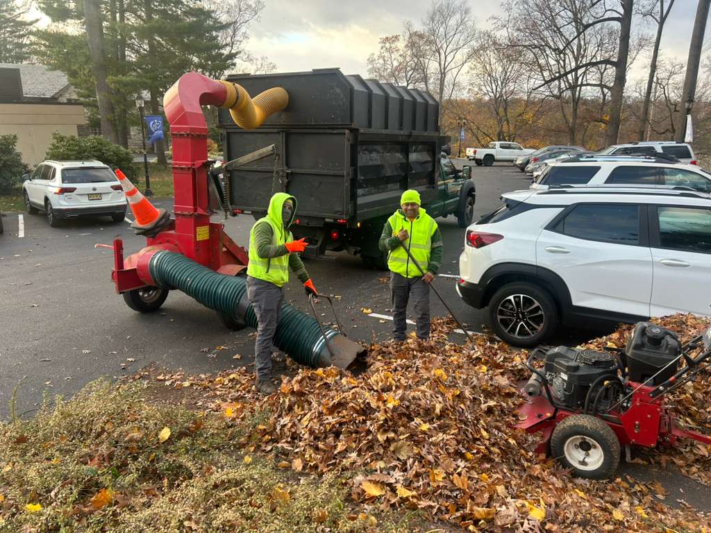 Fall Cleanup Done Right