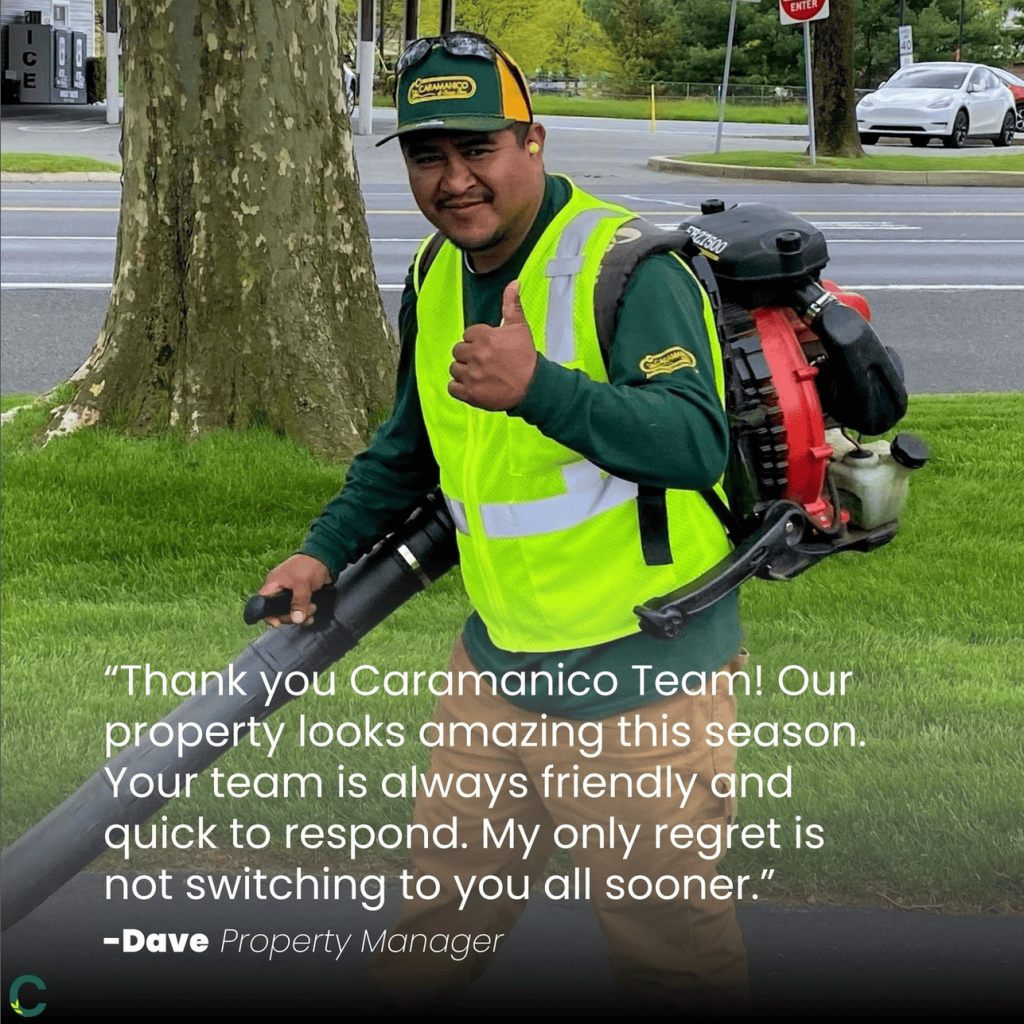 Best Commercial Landscaper in the Delaware Valley