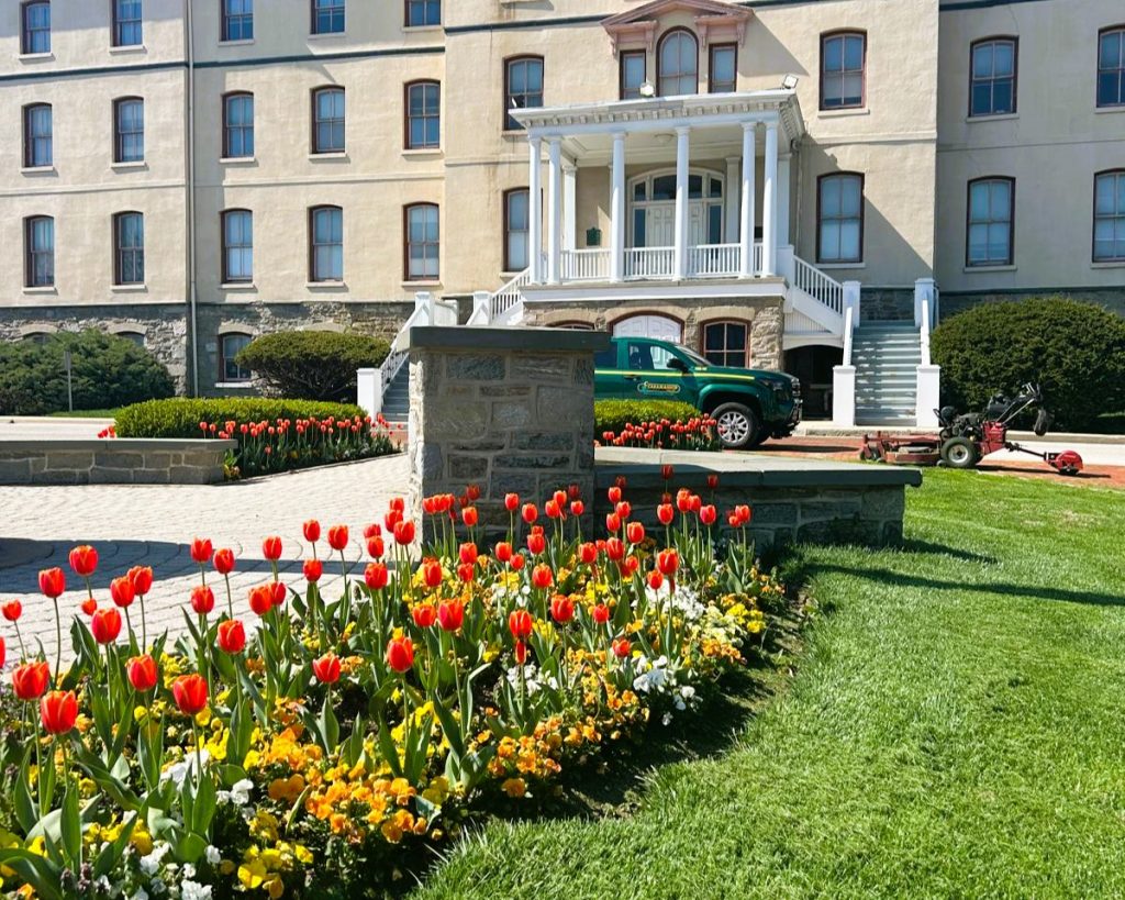 Widener Spring Flowers