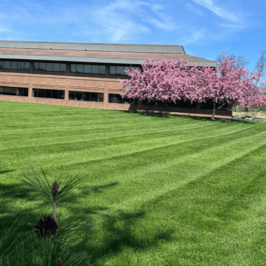 Choosing the Right Commercial Landscaper in Philadelphia, PA