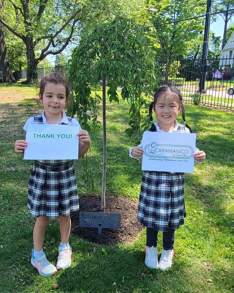 tree donation event The Baldwin School