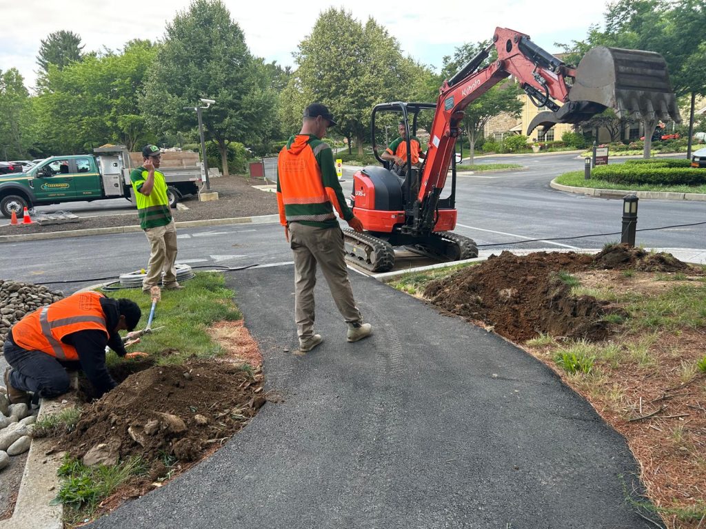 Commercial Landscape Enhancement Ideas