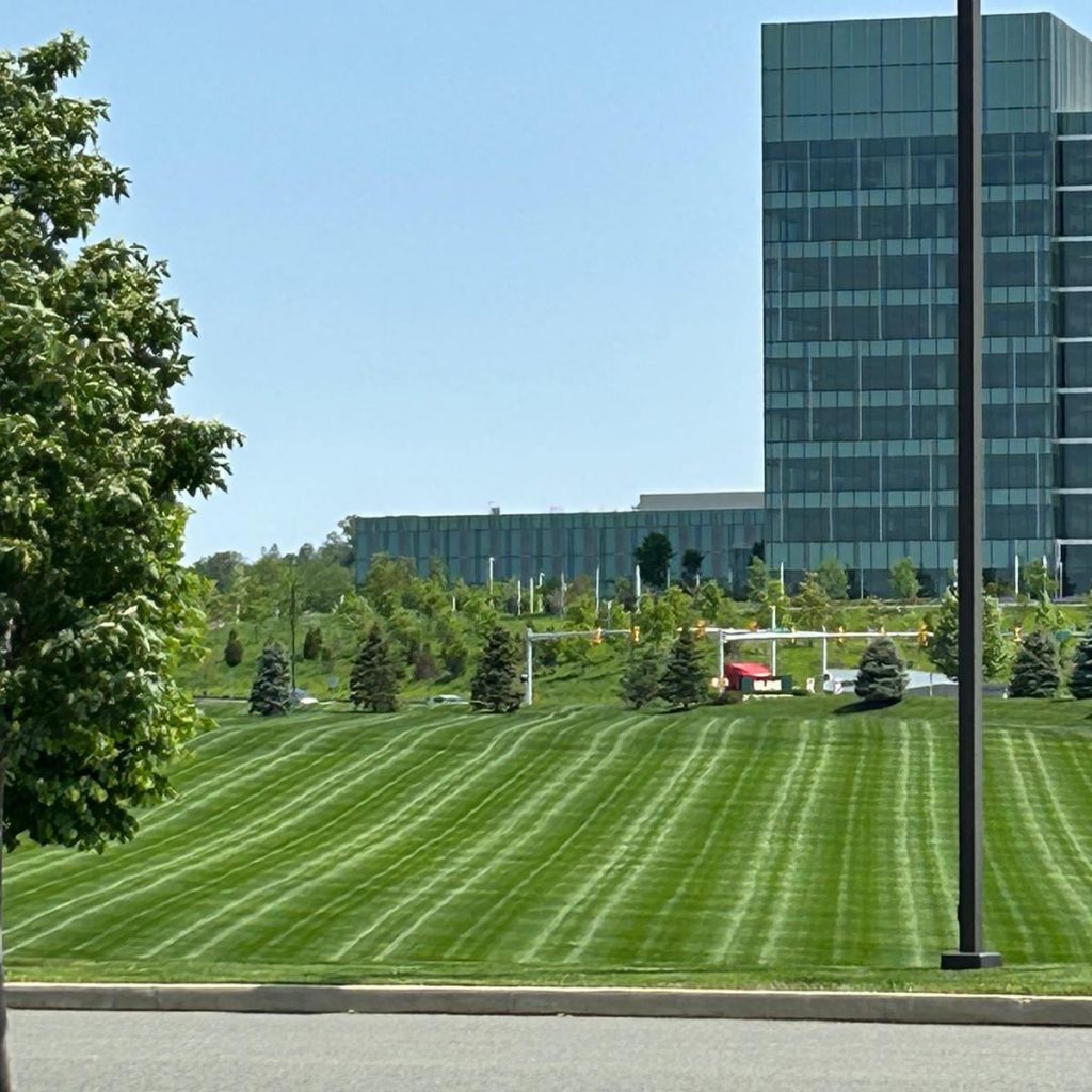 Understanding Commercial Landscaping Pricing