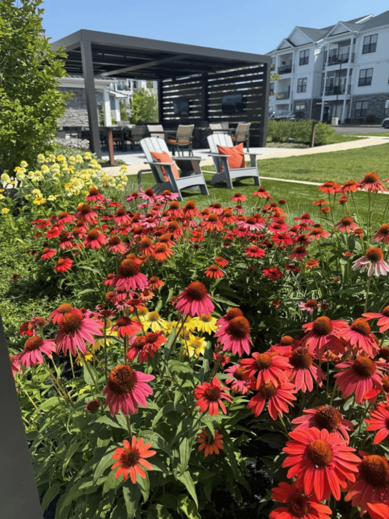 commercial landscape checklist