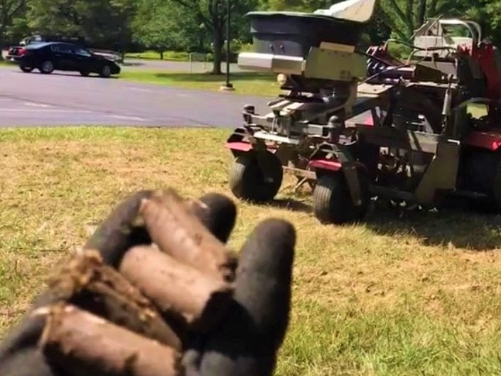 Commercial Lawn Renovation vs. Overseeding: Which Is Best?