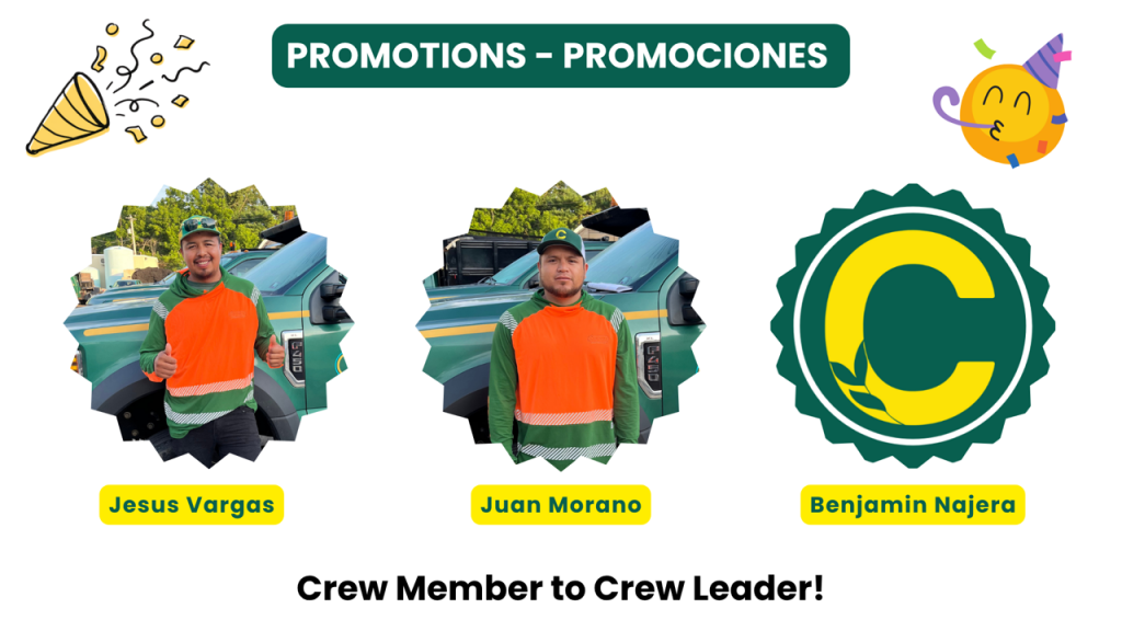 family-owned landscaping company: promotions